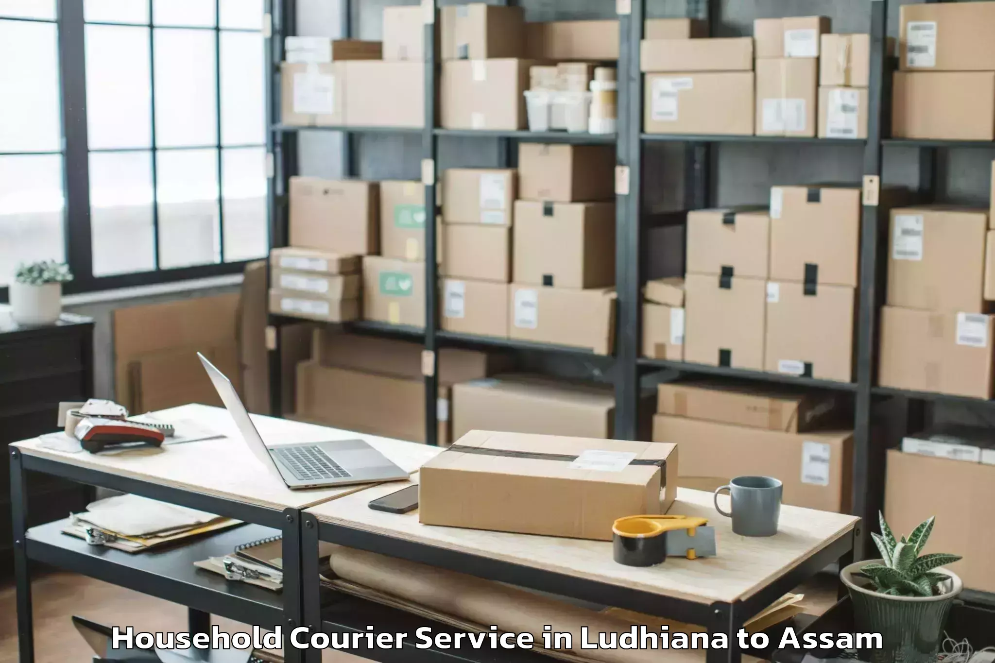 Book Ludhiana to Lala Assam Household Courier Online